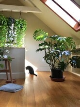 13 Harris St in Marblehead, MA - Foto de edificio - Building Photo