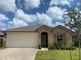 8219 Ivy Wood Ct in Rosharon, TX - Building Photo