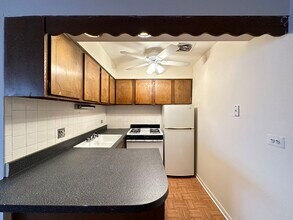 533 W Aldine in Chicago, IL - Building Photo - Building Photo