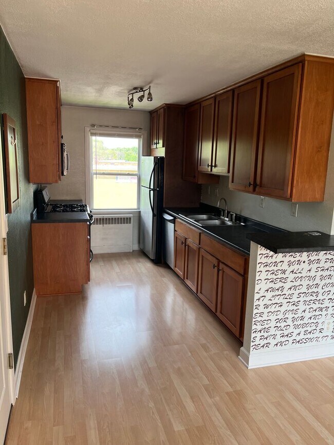 259 Birmingham St in St. Paul, MN - Building Photo - Building Photo
