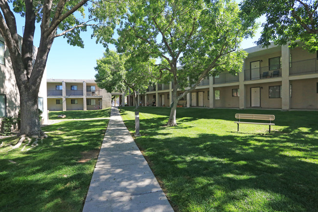 Sunrise Apartments in Albuquerque, NM - Building Photo - Building Photo