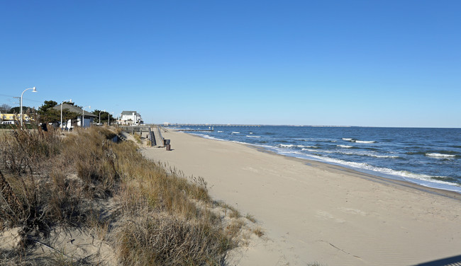 Homes for rent in Ocean Air, VA