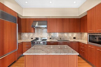159 E Walton Pl in Chicago, IL - Building Photo - Building Photo