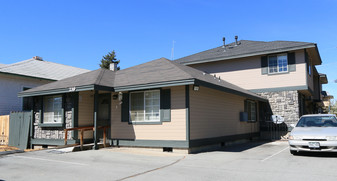 239-247 Cheney St in Reno, NV - Building Photo