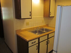 606 W Healey St, Unit 1 in Champaign, IL - Building Photo - Building Photo