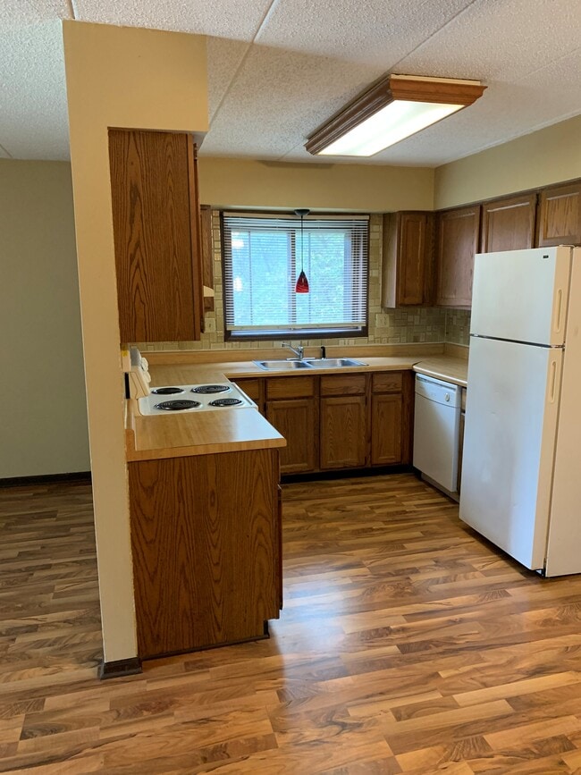 1353 Crab Apple Ct in Naperville, IL - Building Photo - Building Photo