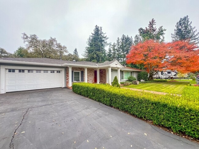 1039 Petra Dr in Napa, CA - Building Photo - Building Photo