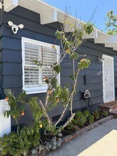 3310 London St in Los Angeles, CA - Foto de edificio - Building Photo
