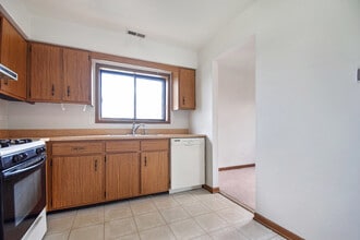15824 Peggy Ln in Oak Forest, IL - Building Photo - Building Photo