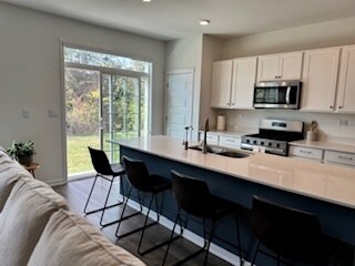 271 Charlestowne Lakes Dr in St. Charles, IL - Building Photo - Building Photo