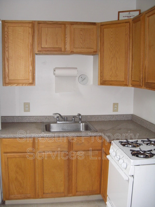 250 Lark St in Albany, NY - Building Photo - Building Photo