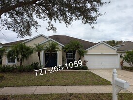 26000 Risen Star Dr in Wesley Chapel, FL - Building Photo