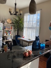 406 N Delaware St-Unit -310 in Indianapolis, IN - Building Photo - Building Photo