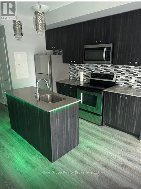 10 Palace St in Kitchener, ON - Building Photo - Building Photo