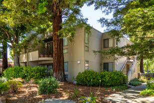 The Lakes in Mountain View, CA - Foto de edificio - Building Photo