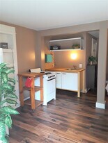 1030 W Melwood St in Houston, TX - Building Photo