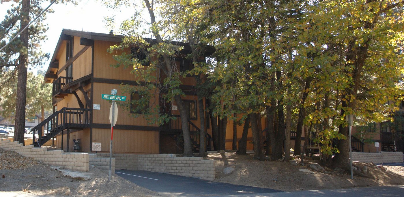 41869 Switzerland Dr in Big Bear City, CA - Building Photo