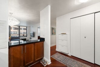 222 E Pearson St, Unit 1005 in Chicago, IL - Building Photo - Building Photo