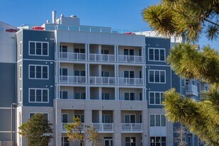 Pinewell Station in Norfolk, VA - Building Photo