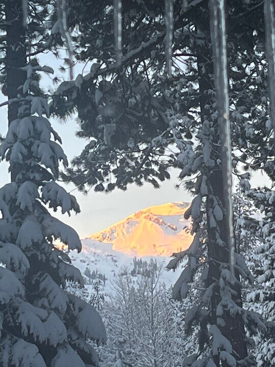 115 Tiger Tail Rd in Olympic Valley, CA - Building Photo