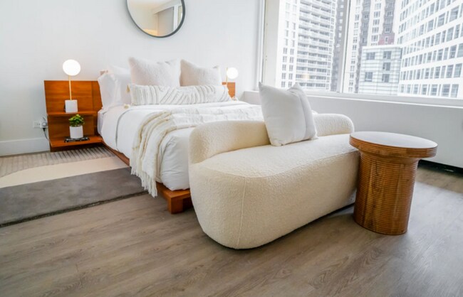 24 E Chestnut St in Chicago, IL - Building Photo - Building Photo