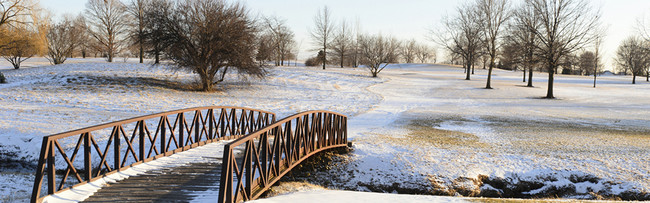 Apartamentos Alquiler en Hobbison West, IL