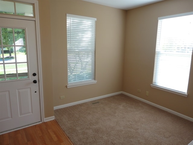 1295 Whispering Hills Dr in Naperville, IL - Foto de edificio - Building Photo