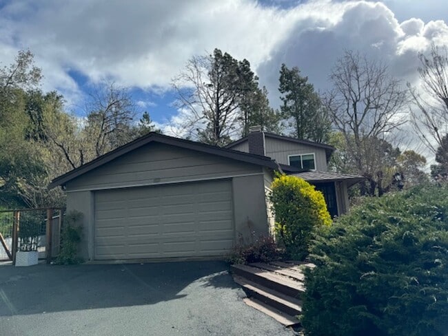 3 Bel Air Ct in Orinda, CA - Building Photo - Building Photo