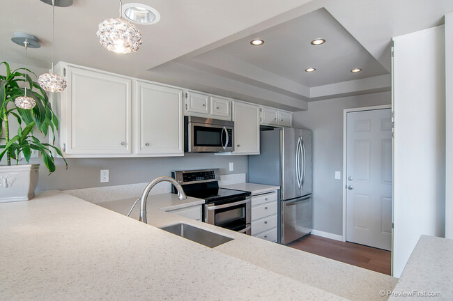 1047 Santa Helena Park Ct in Solana Beach, CA - Foto de edificio - Building Photo