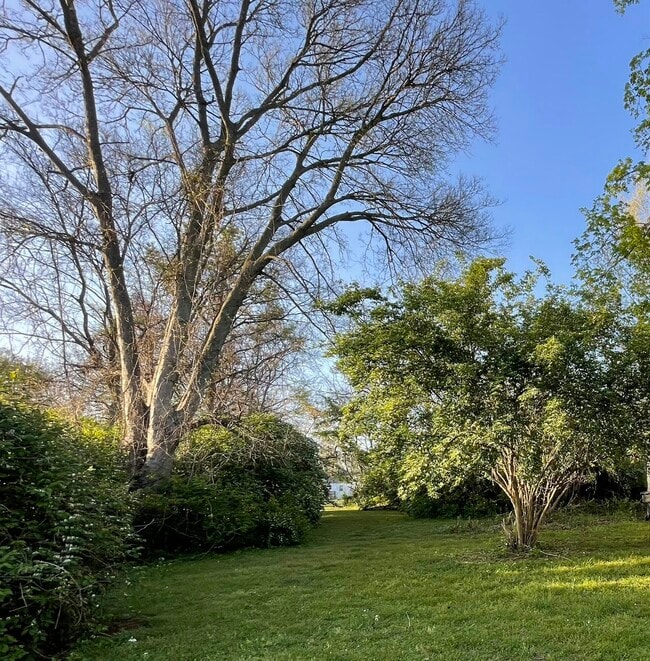 6334 Patton Ave in Nashville, TN - Building Photo - Building Photo