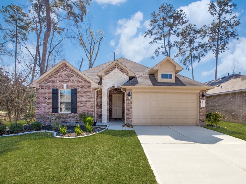 Amber Pines at Fosters Ridge in Conroe, TX - Foto de edificio