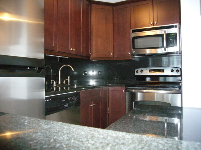 4250 N Marine Dr, Unit 2225 in Chicago, IL - Building Photo - Building Photo