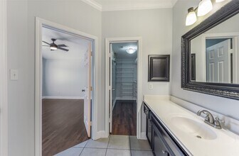 1722 Elgin St in Houston, TX - Building Photo - Building Photo