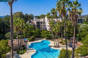 310 N Civic Dr, Unit 305 in Walnut Creek, CA - Building Photo