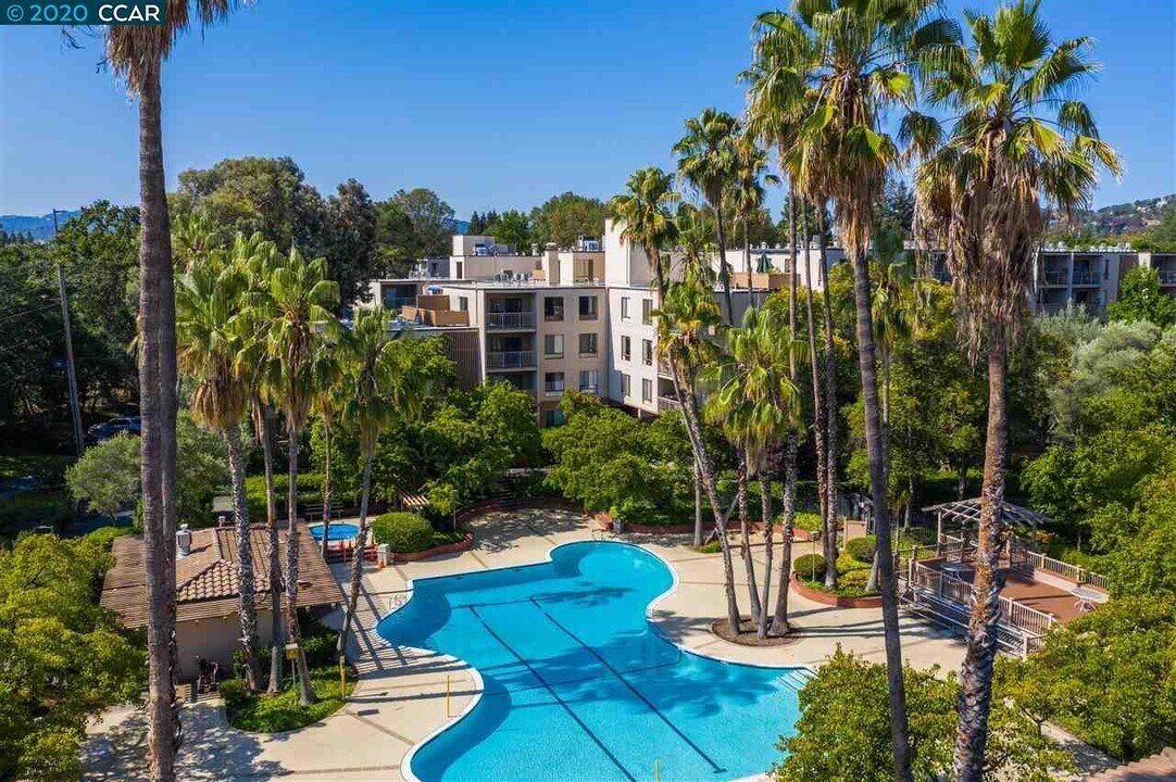 310 N Civic Dr, Unit 305 in Walnut Creek, CA - Building Photo