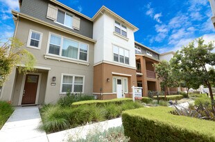 37790 Taro Ter in Newark, CA - Building Photo