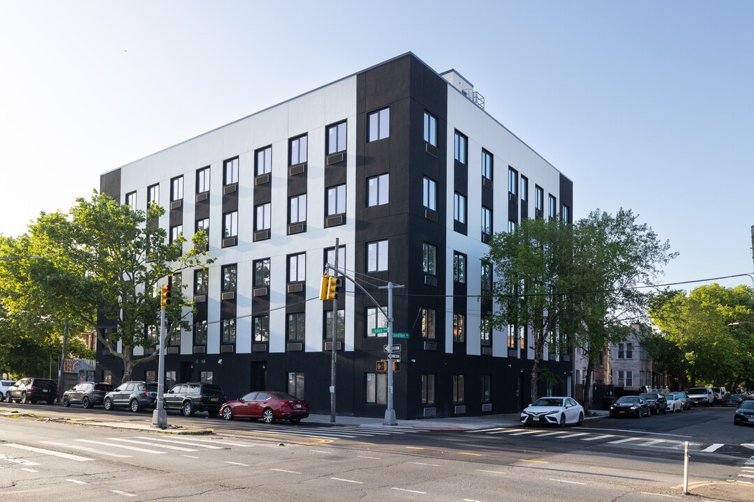 713 Snediker Ave in Brooklyn, NY - Foto de edificio