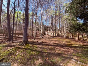 3910 Lynnhaven Ln in Fredericksburg, VA - Building Photo - Building Photo