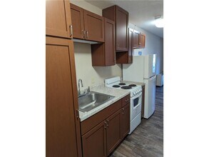 200 S 4th St in Marshall, MN - Foto de edificio - Building Photo