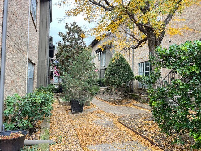 10432 High Hollows Dr in Dallas, TX - Foto de edificio - Building Photo