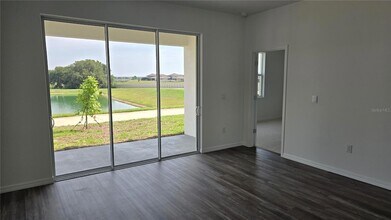 31471 Paper Birch St in Wesley Chapel, FL - Building Photo - Building Photo