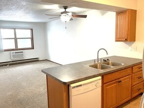 Riverview Apartments in La crosse, WI - Building Photo - Building Photo