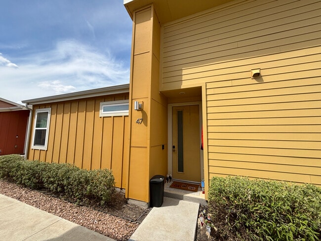 151 Rikardson in Kyle, TX - Building Photo - Building Photo