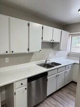 1010 Holli Springs Ln in Colorado Springs, CO - Building Photo - Building Photo