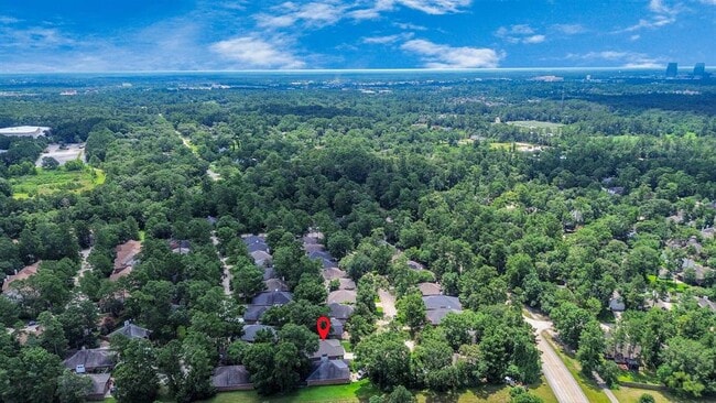 38 Bayou Springs Ct in Spring, TX - Foto de edificio - Building Photo