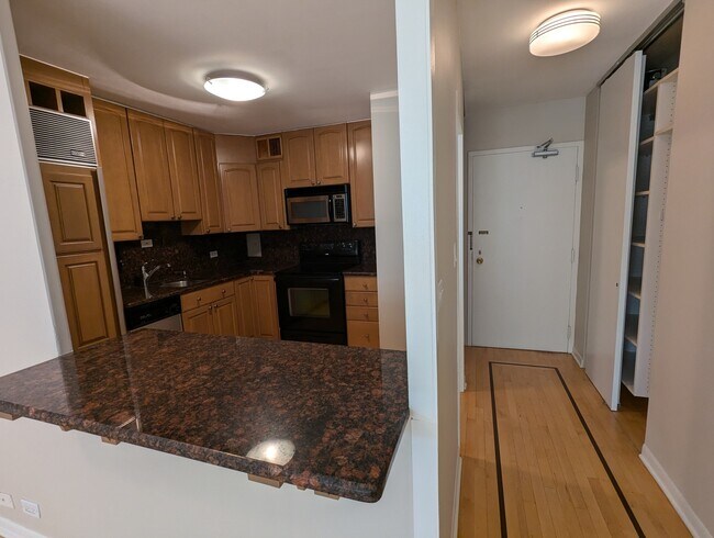 30 E Elm St in Chicago, IL - Building Photo - Building Photo