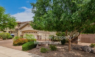 3917 S Newport St in Chandler, AZ - Building Photo - Building Photo