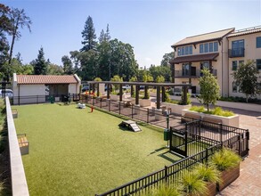 Springline in Menlo Park, CA - Foto de edificio - Building Photo