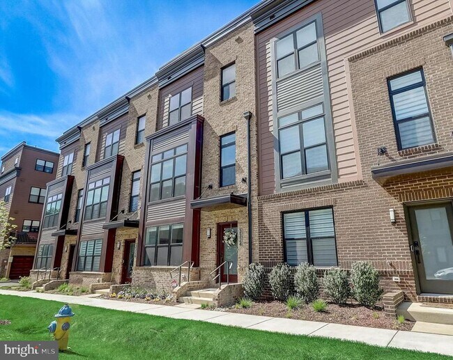 3324 Woodland Phlox St in Rockville, MD - Building Photo - Building Photo
