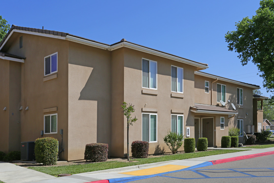 Hall Street Apartments in Visalia, CA - Building Photo